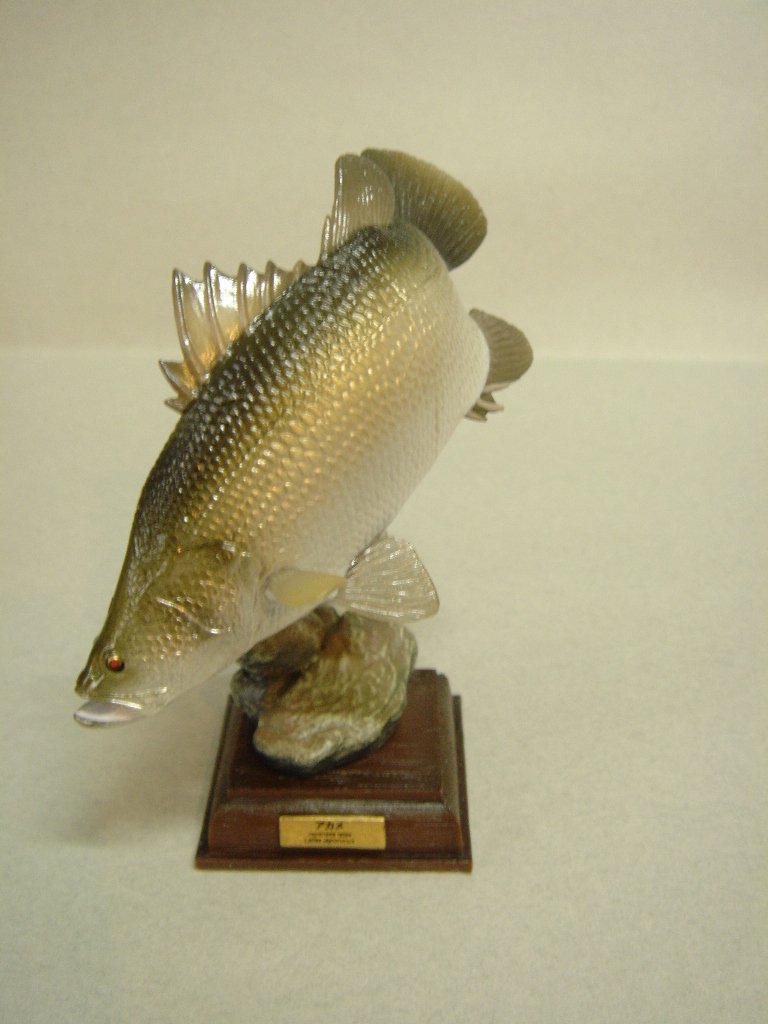 ネイチャーテクニカラー 日本の清流」 川魚フィギュア: 造型のブログ
